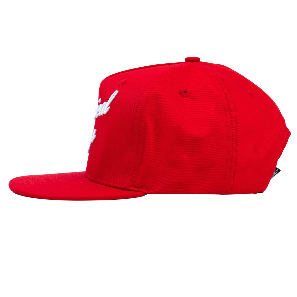 Snap-It-Back Script Hat