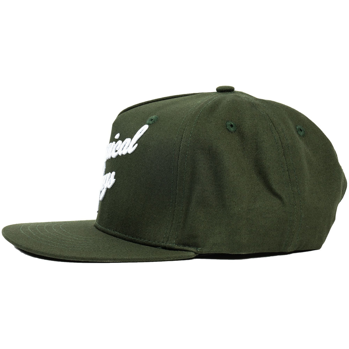 Snap-It-Back Script Hat
