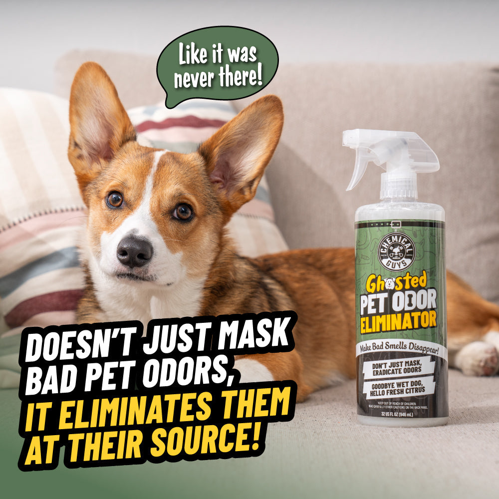 Ghosted Pet Odor Eliminator