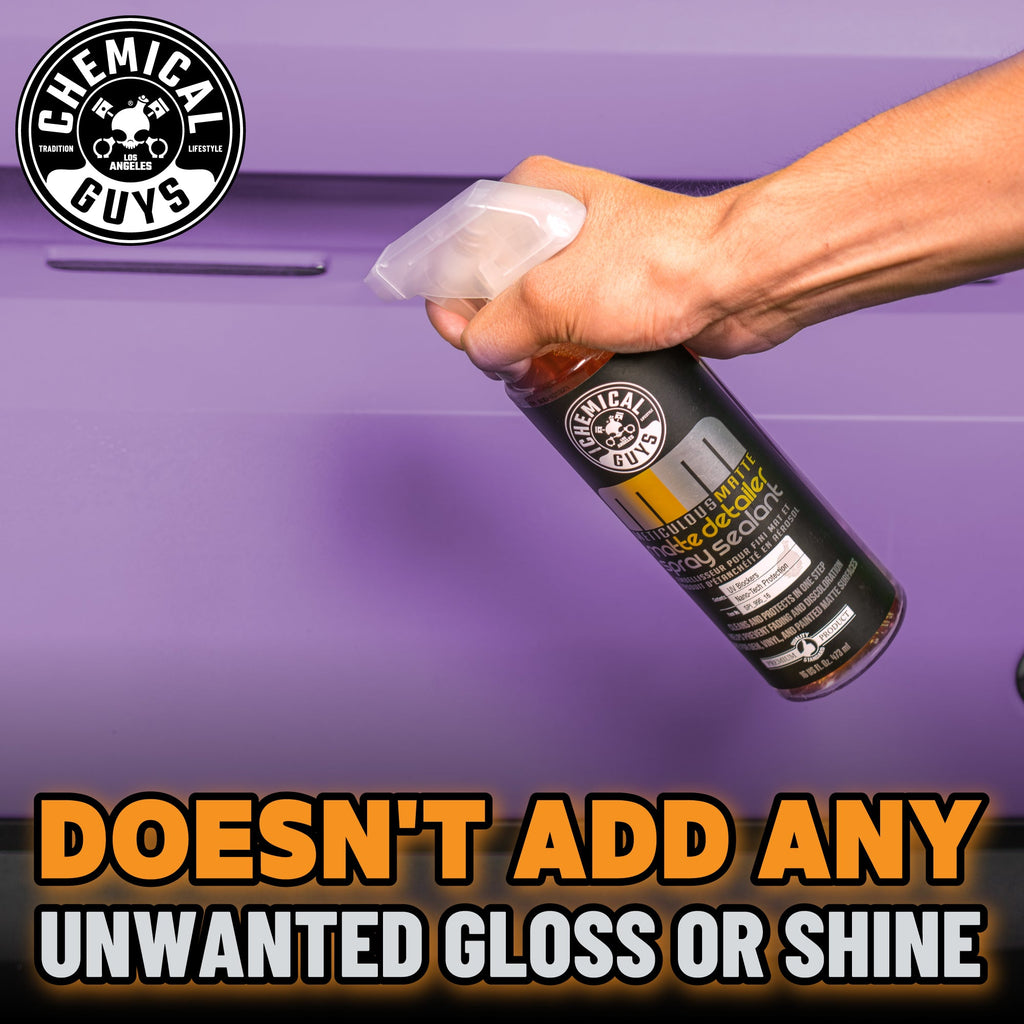 Meticulous Matte Detailer Spray & Sealant