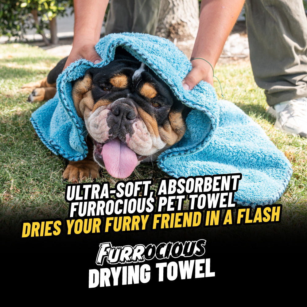 Interior Pet Mess Kit