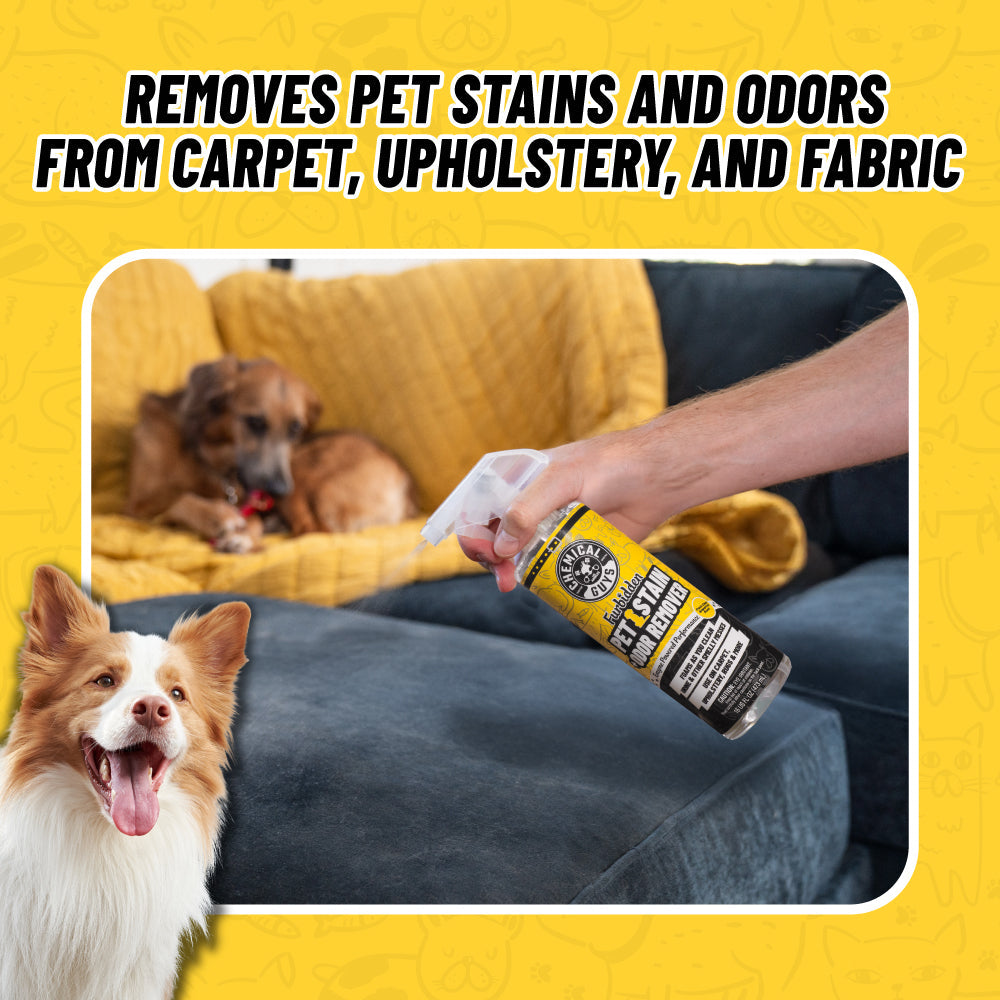 Interior Pet Mess Kit