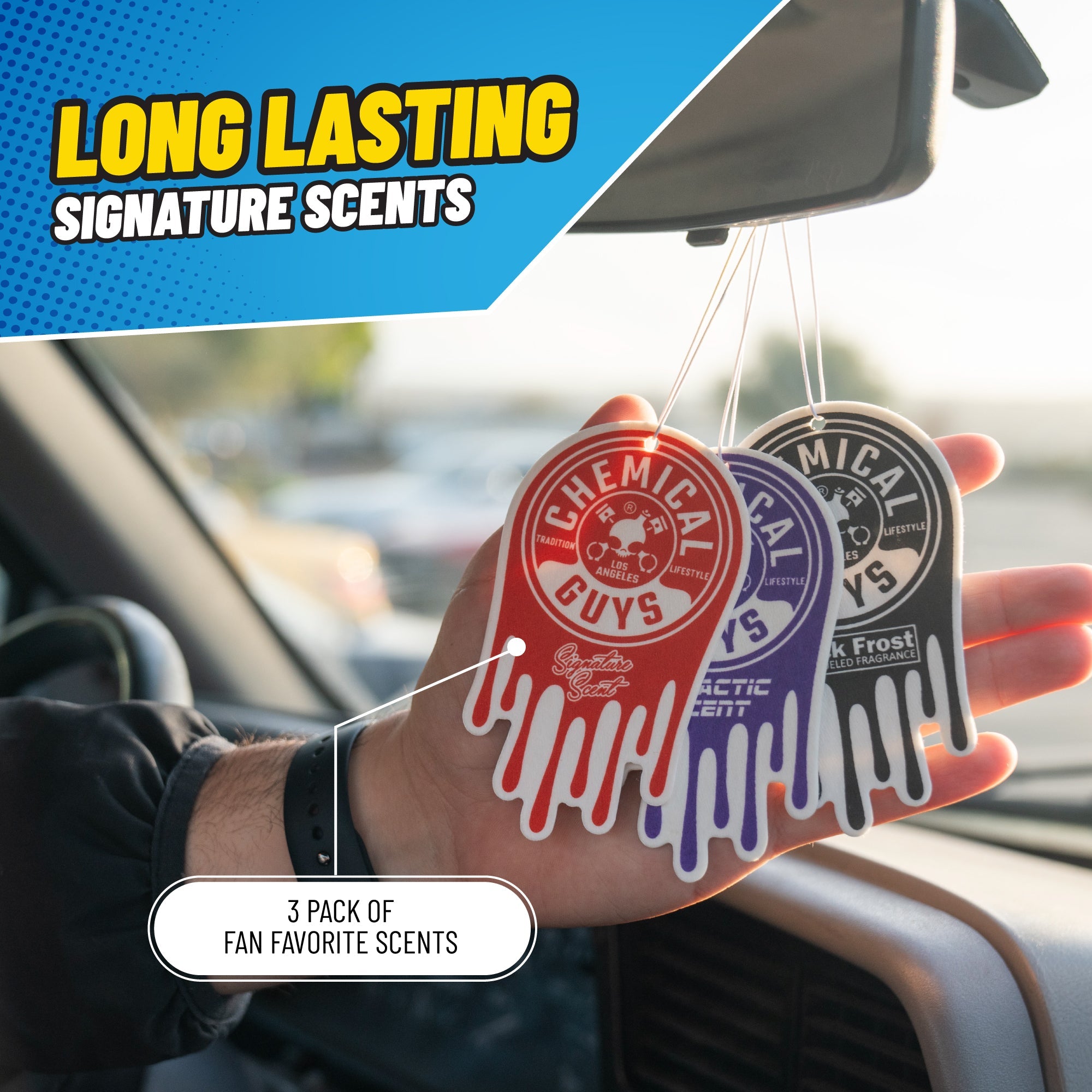 Express Interior Clean & Protect Car Care Kit