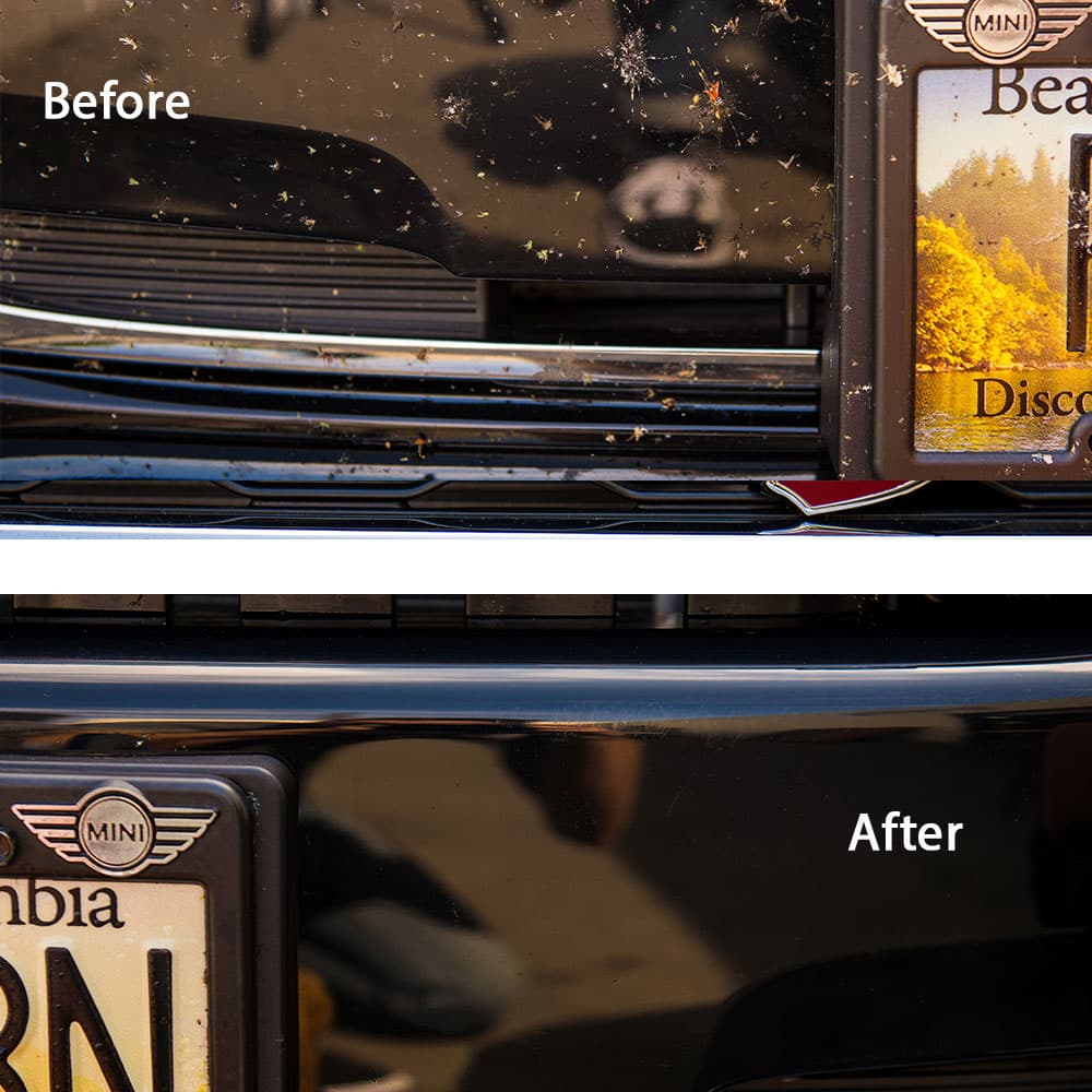 Bug & Tar Remover Car Wash